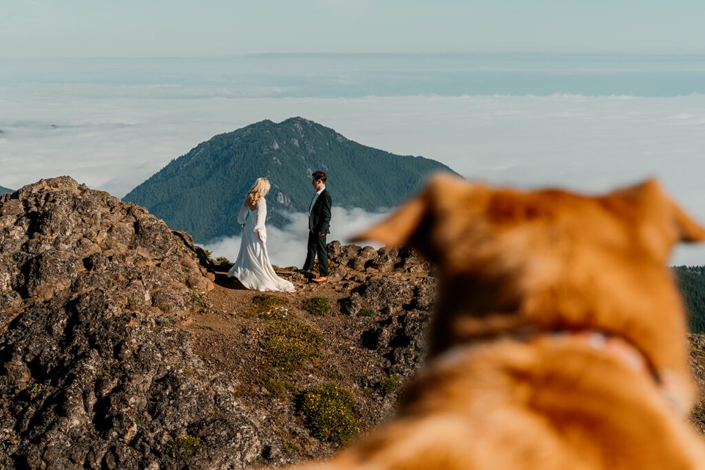 A bride twirls in her dress, showing the movement of the fabric to her husband. The shot is taken over the shoulder of their dog who watches on during their Olympic Peninsula elopement. 