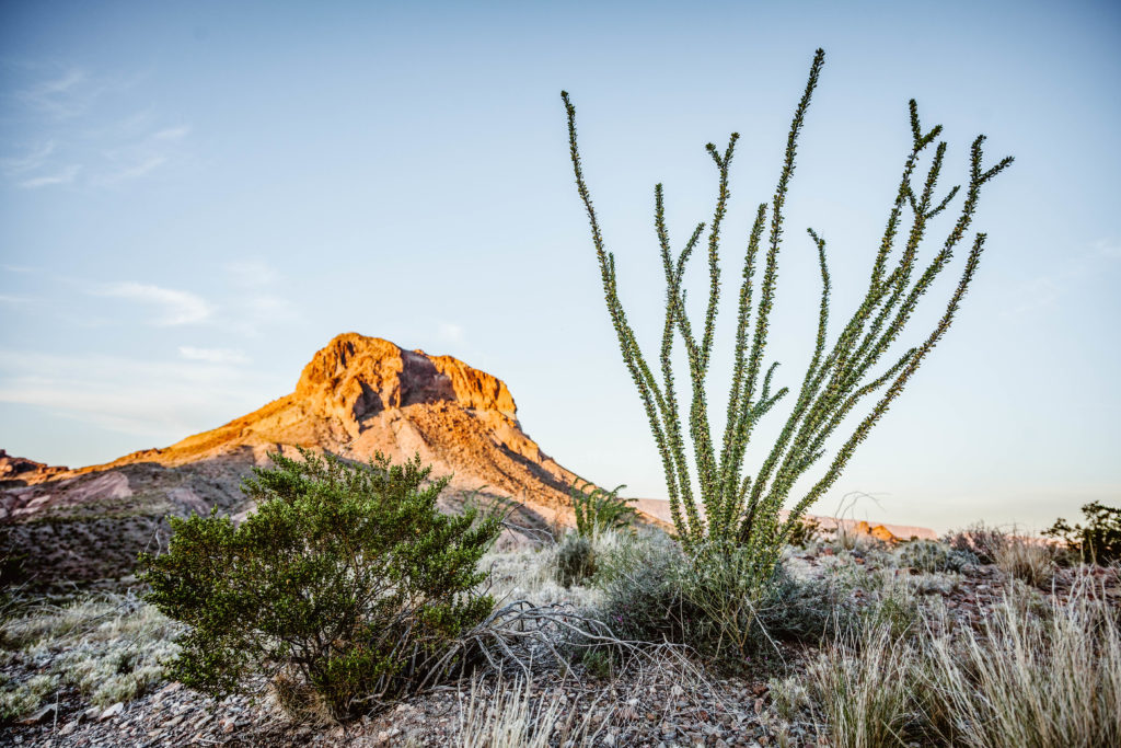 Big Bend National Park
