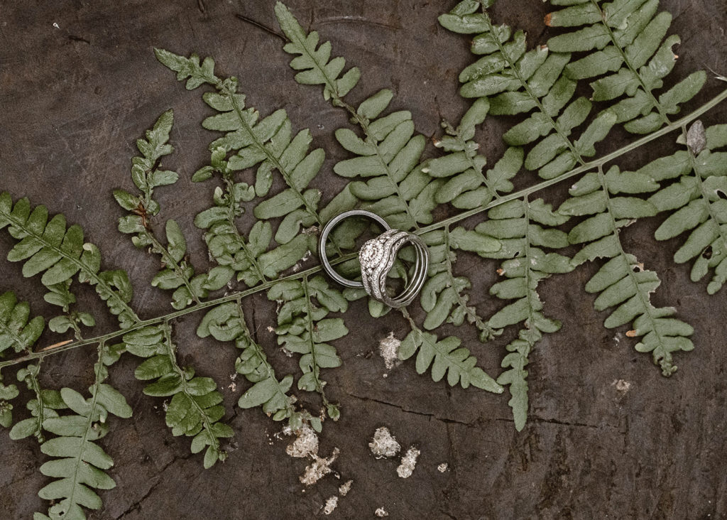 How to get married in Washington state

