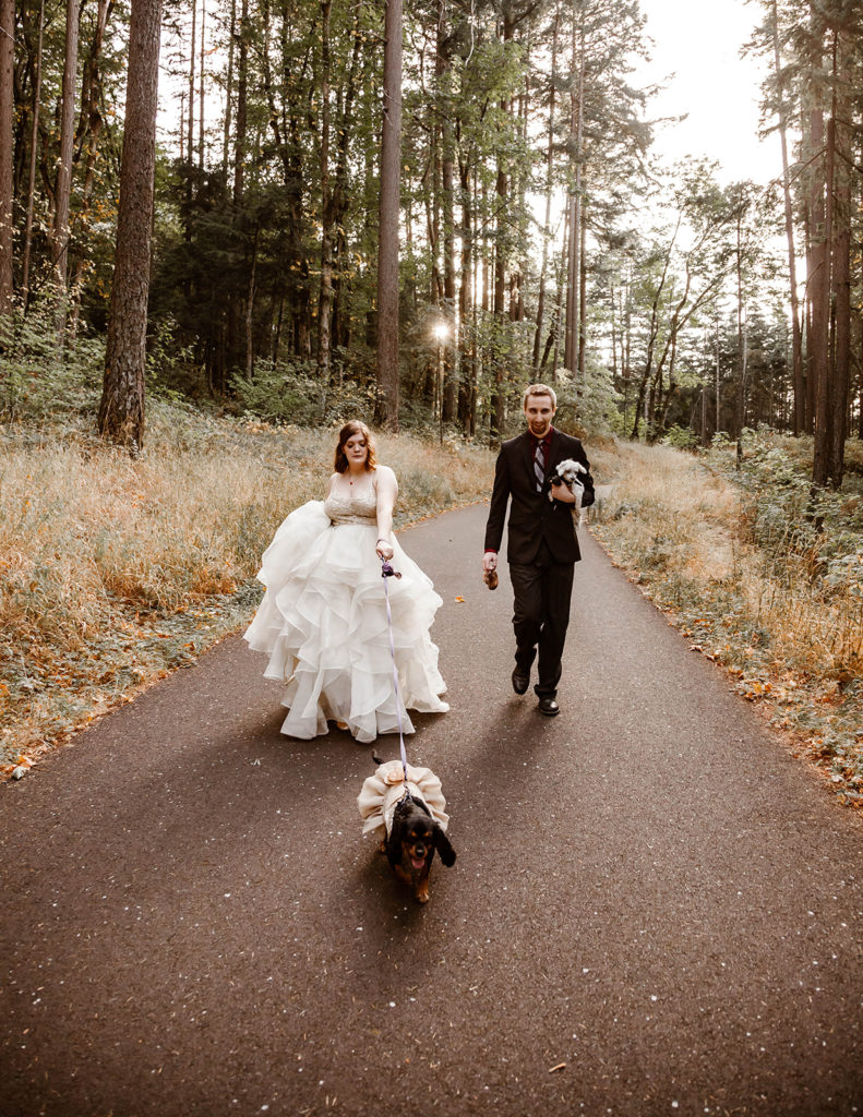 including dogs in your wedding