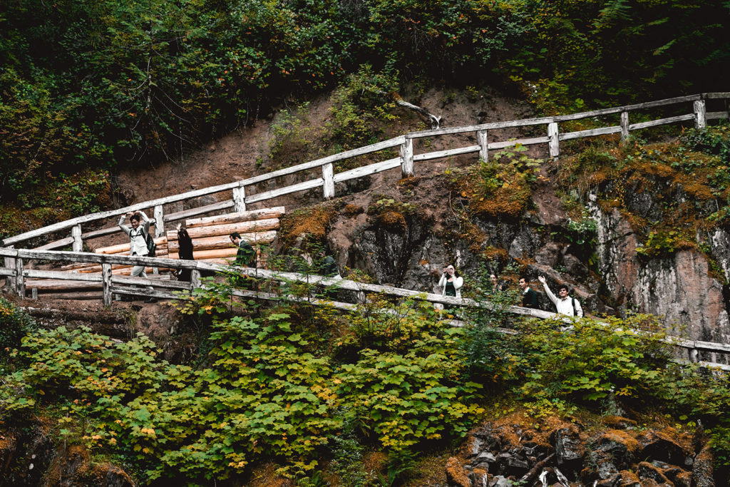 how to include guests in your mt rainier elopement