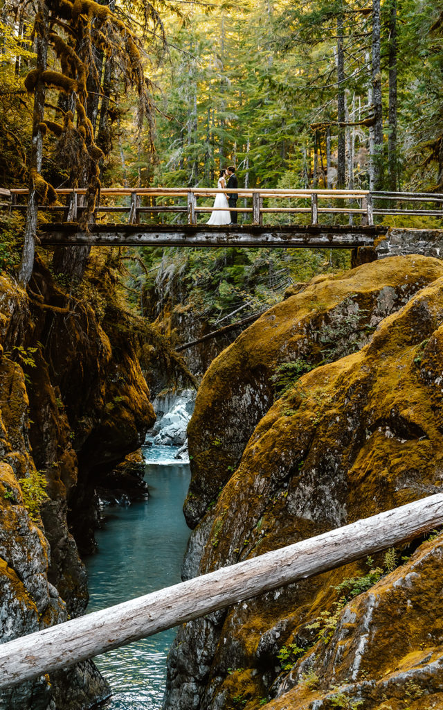 Mt Rainier Wedding