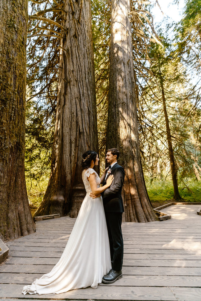 mt rainier intimate wedding