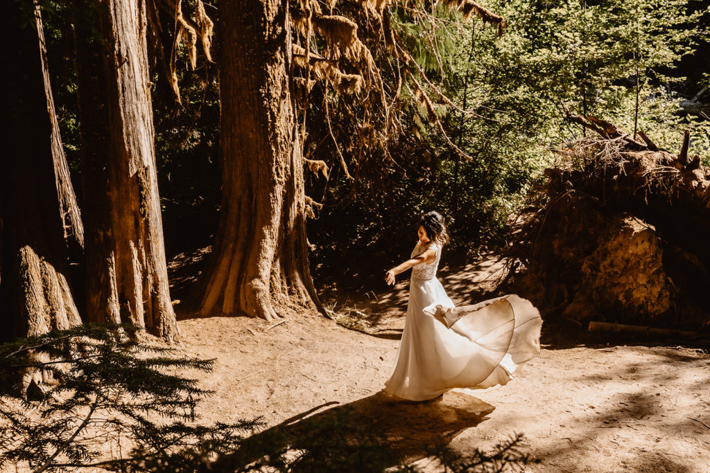 mt rainier bridal portrait