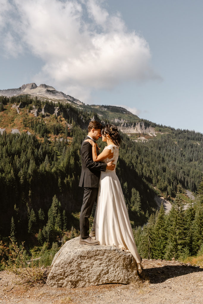 mt rainier scenic pullout