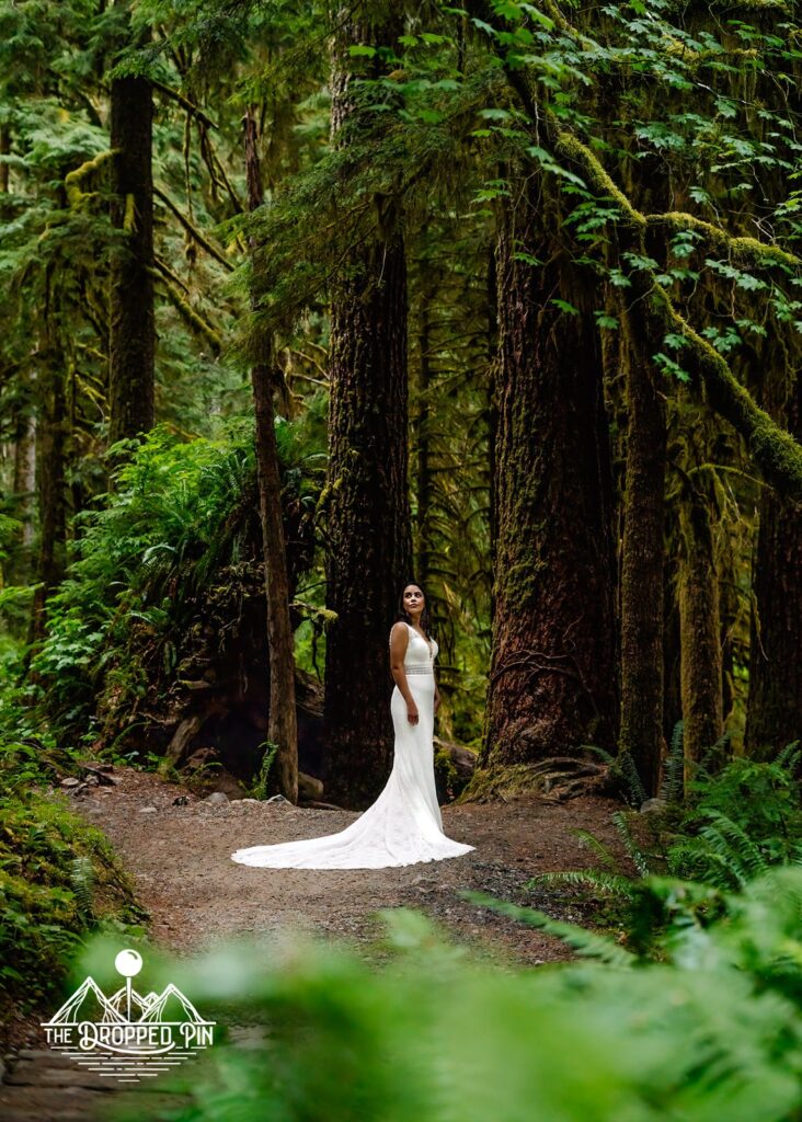 A bride waits in her wedding dress preparing to have a first look on a trail with her groom during theirWashington elopement