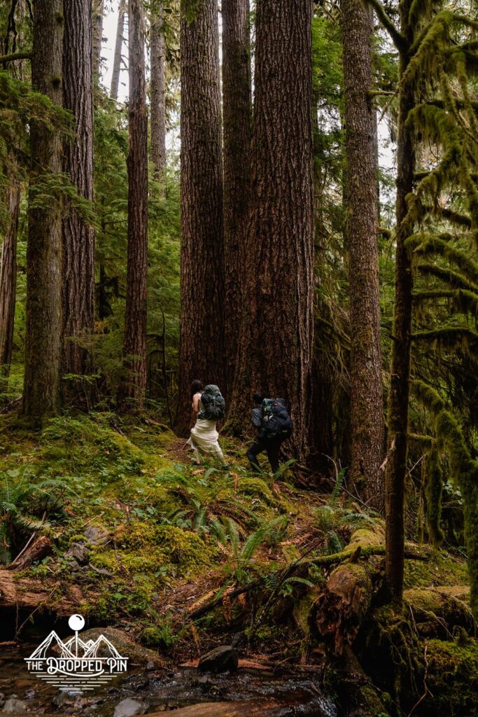 A couple in wedding attire hikes through a lush, green forest during their Washington elopement