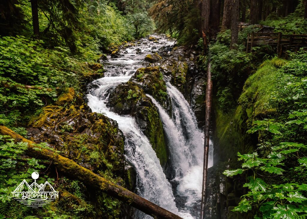 The setting of this Washington elopement took place at this three point waterfall deep in the lush green forest