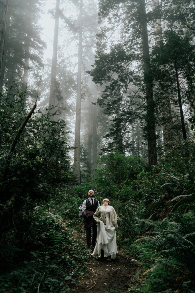 an ethereal image of a bride and her groom walking through a lush forest. they both look upward, craning their heads to take in the unbelievable heights of the redwoods 