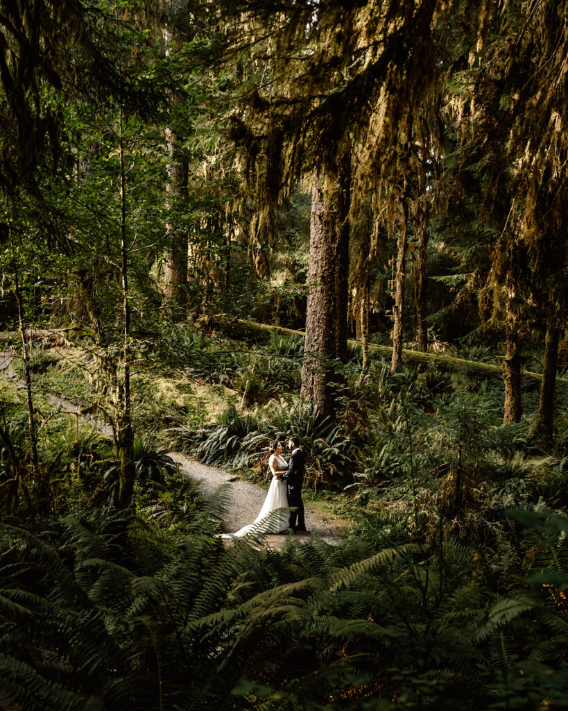 after they decided how to elope, a bride and groom embracce deep in the middle of a rainforest. they are framed by lush greenery and tall trees as they stand in their wedding attire. 