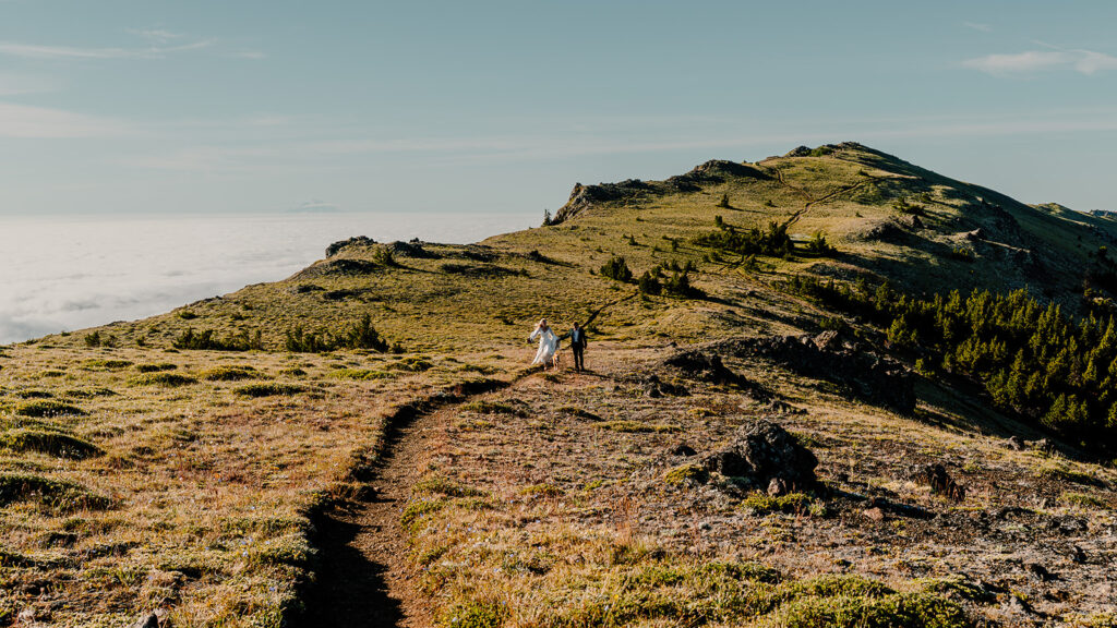 a wide landscape shot of a bride and groom running down a green mountain during their Olympic Peninsula elopement. 