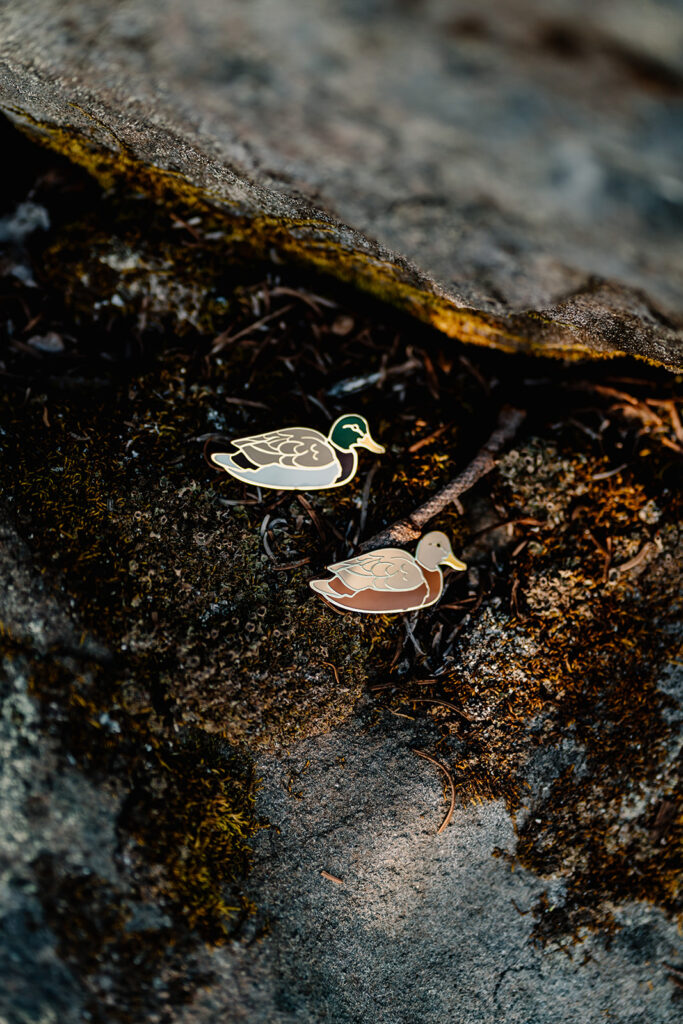 two mallard duck pins rest against a rock, a detail shot from this day 