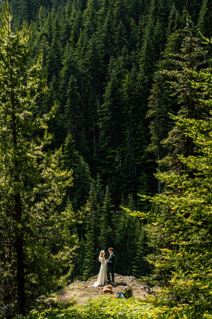 A couple in their wedding attire embrace of a cliff surrounded by towering trees during their Olympic National Park elopement