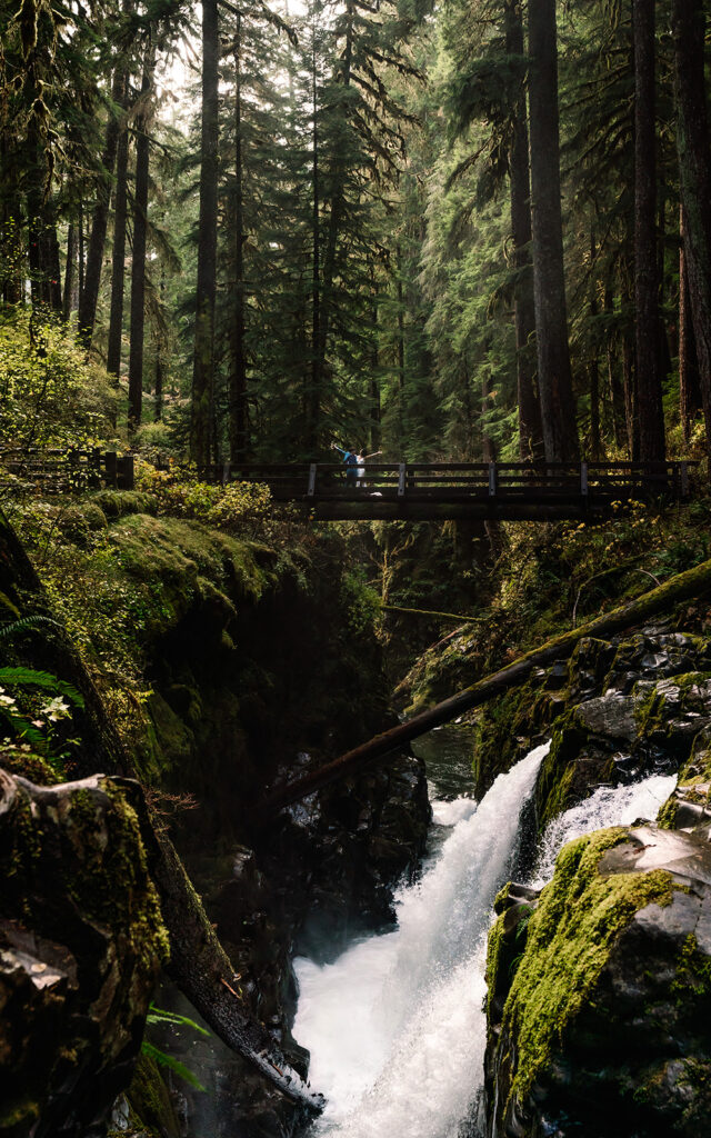 a teeny tiny couple in their wedding attire cheer from a wooden bridge nestled in a lush, verdant forest looking over a gushing waterfall during their Olympic National Park elopement