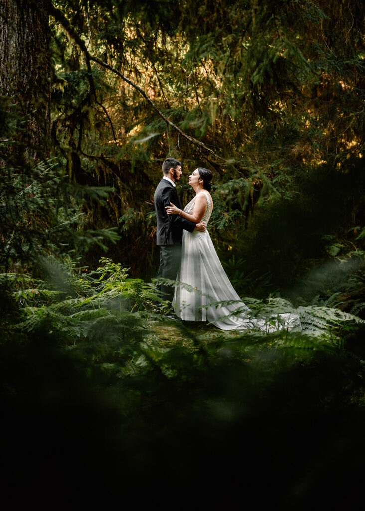 a bride and groom embrace in a small outcropping in a verdant rainforest. they are framed by 50 shades of green in moss and ferns 