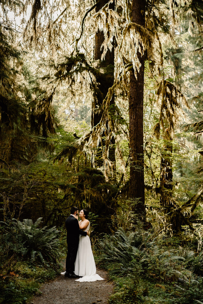 A couple in wedding attire embrace nestled in a verdant forest during their Olympic National Park elopement. Hanging moss and leafy ferns frame the scene, and a slice of sunlight leads your eye to the romantic embrace. 