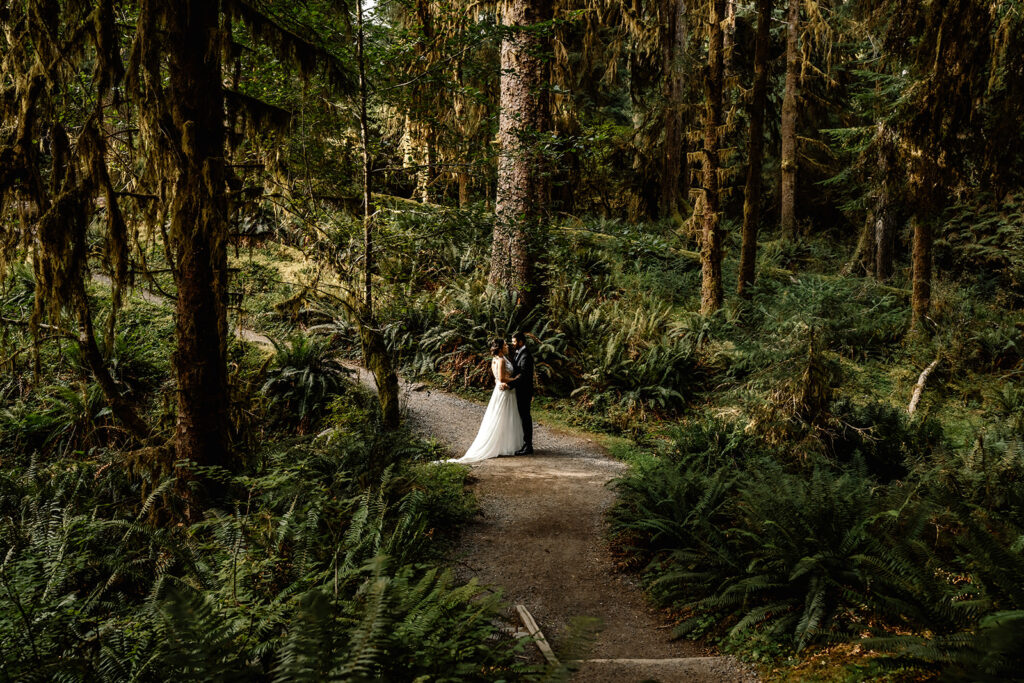 A couple in wedding attire embrace nestled in a verdant forest during their Olympic National Park elopement. Hanging moss and leafy ferns frame the scene, and a dirt path leads your eye to the romantic embrace. 
