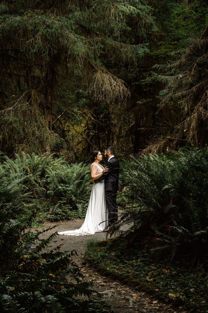 A couple in wedding attire embrace nestled in a verdant forest during their Olympic National Park elopement. Hanging moss and leafy ferns frame the scene.