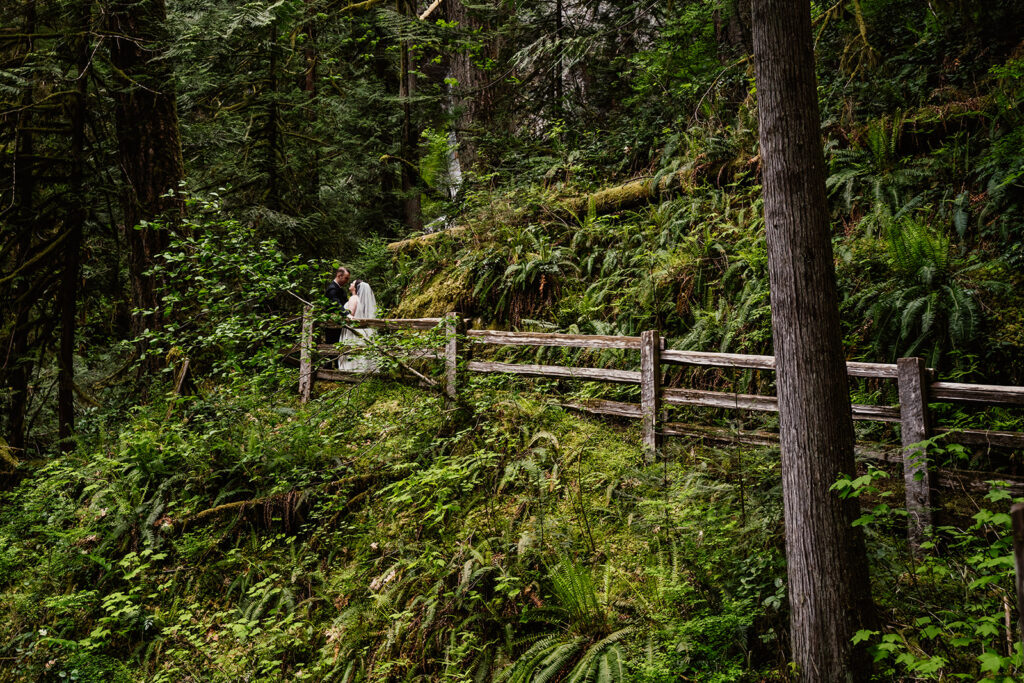 a wide shot of a couple in their wedding attire exploring a forest. A wooden fence draws our eye to them as they embrace 