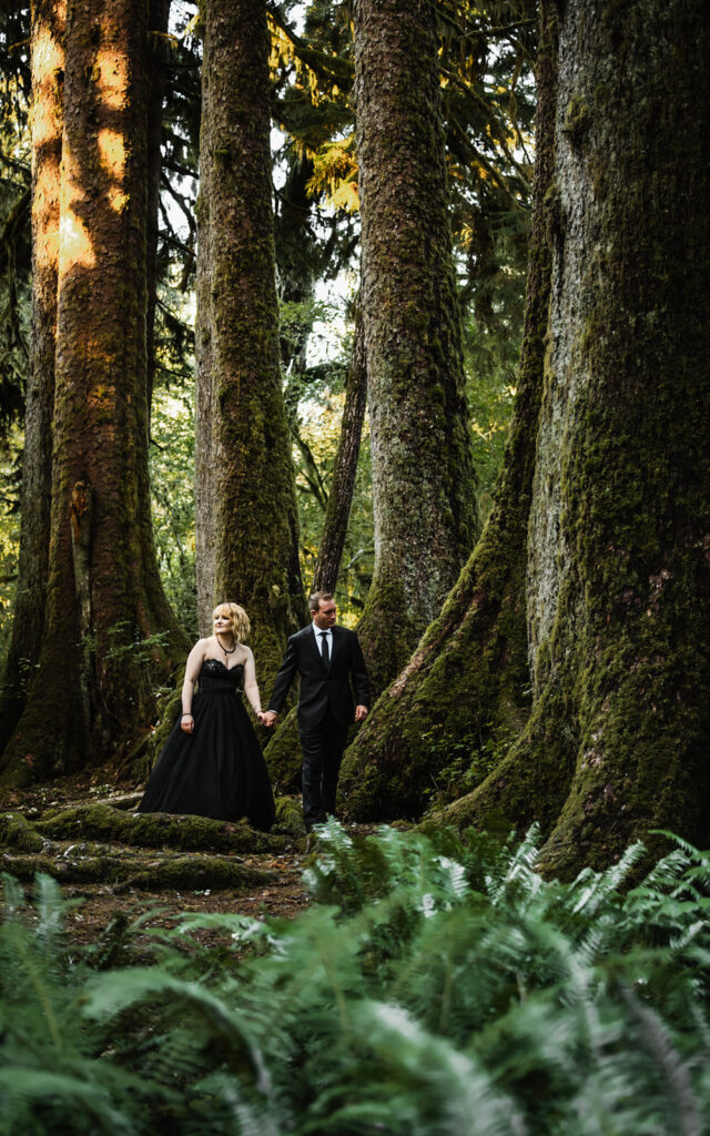a couple in all black wedding attire explore a verdant rainforest during their Olympic National Park wedding. They are framed by massive, mossy trees and green ferns
