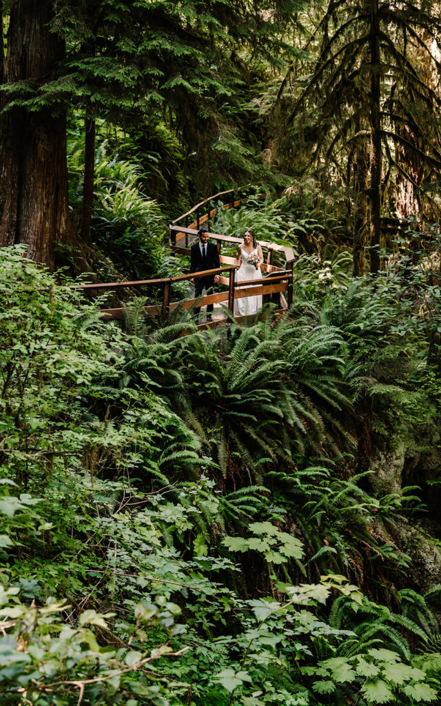 A couple in their wedding attire walk through a verdant forest. A wooden panelling creates a leading line that draws your eye to them 