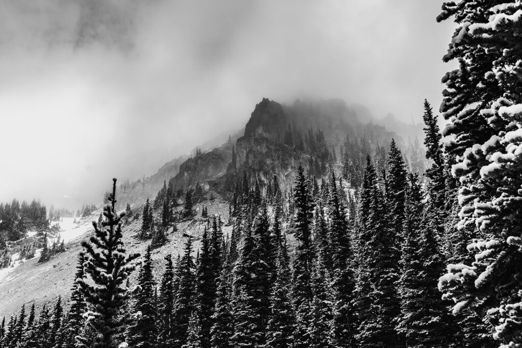 a black and white image of a mountain peeking out through the fog, surrounded by snoy pine trees 