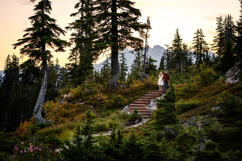 a stunning sunrise lights up a wildflower meadow, where we see a couple in casual wedding attire walk down a trail. they are surrounded by bright, colorful wildflowers 