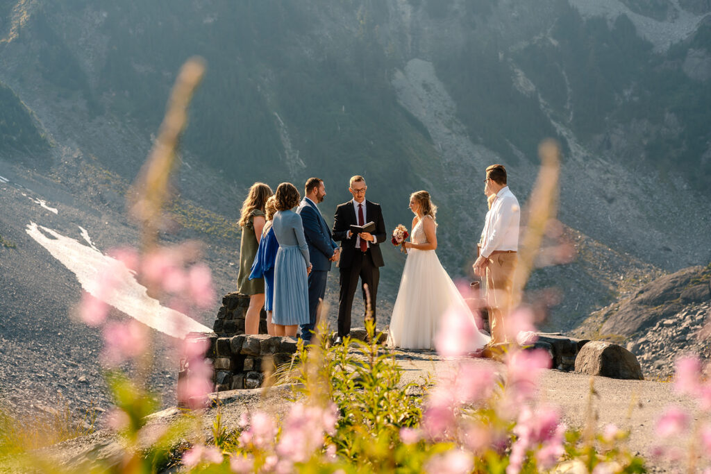 shot between blooming alaskan fireweed, we see the scene of this mt baker micro wedding ceremony. guests are gathered around and wildflowers paint the foreground 