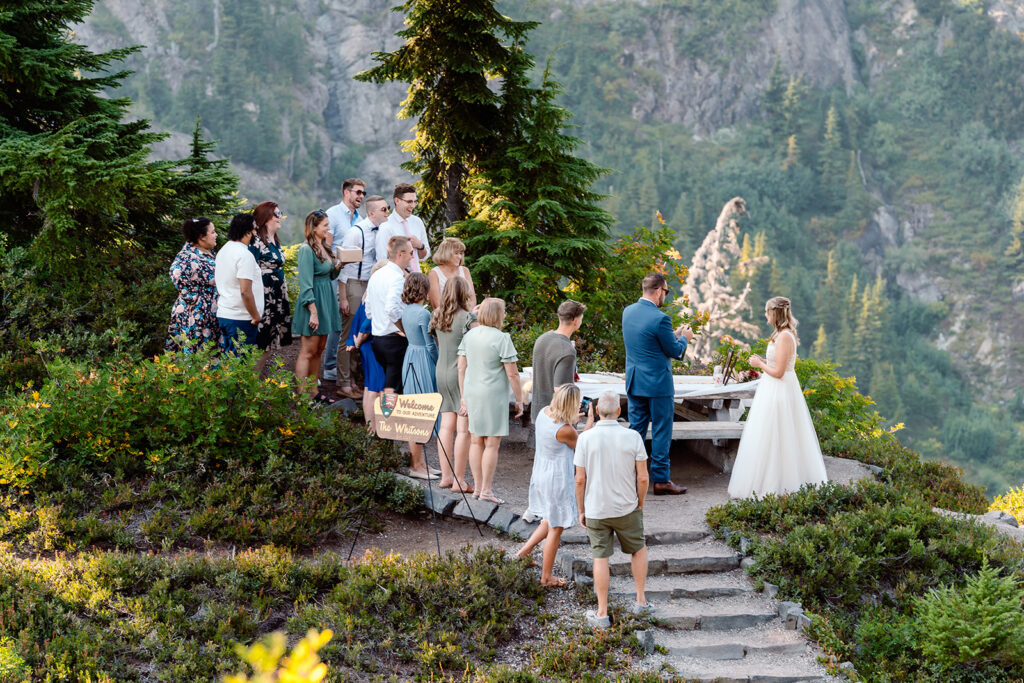 a far away shot celebration for this mt baker micro wedding takes place in a green picnic area surrounded by trees 