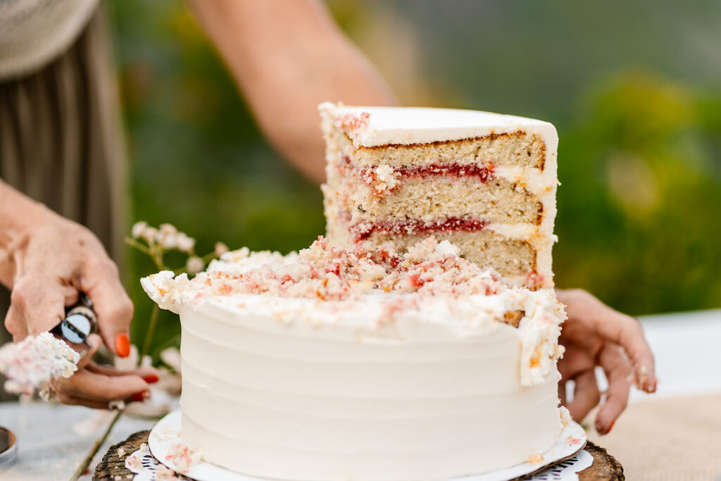 a lived in image of the wedding cake from this mt baker micro wedding showing the different raspberry layers 