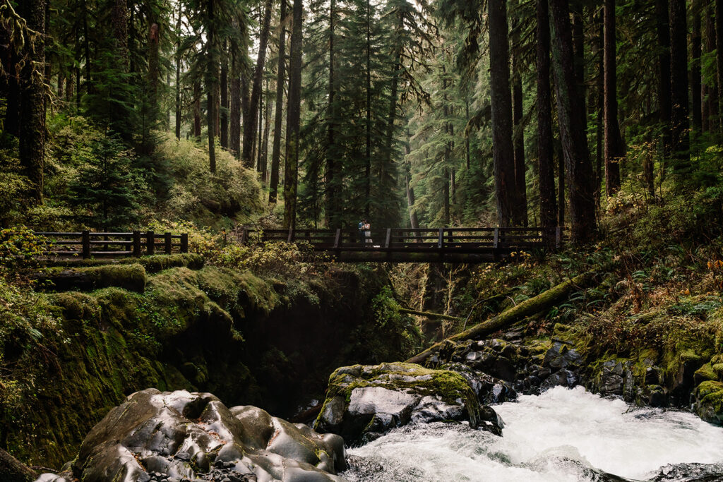 a wide landscape shot with a tiny couple in wedding attire kiss on a wooden bride. A creek rushed under them, the forest is lush and green around them