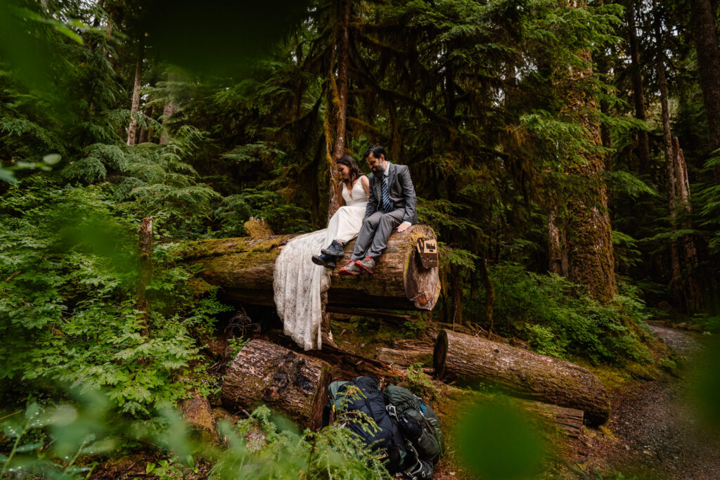 A couple in their wedding attire sit on a log in the middle of a verdant forest during their hoh rainforest elopement. 