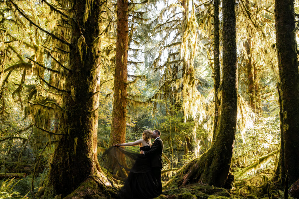 a couple in all black wedding attire embrace in a shaded patch of mossy forest. The hanging moss behind them shines golden as the bride swooshes the back fabric of her dress during their hoh rainforest elopement 