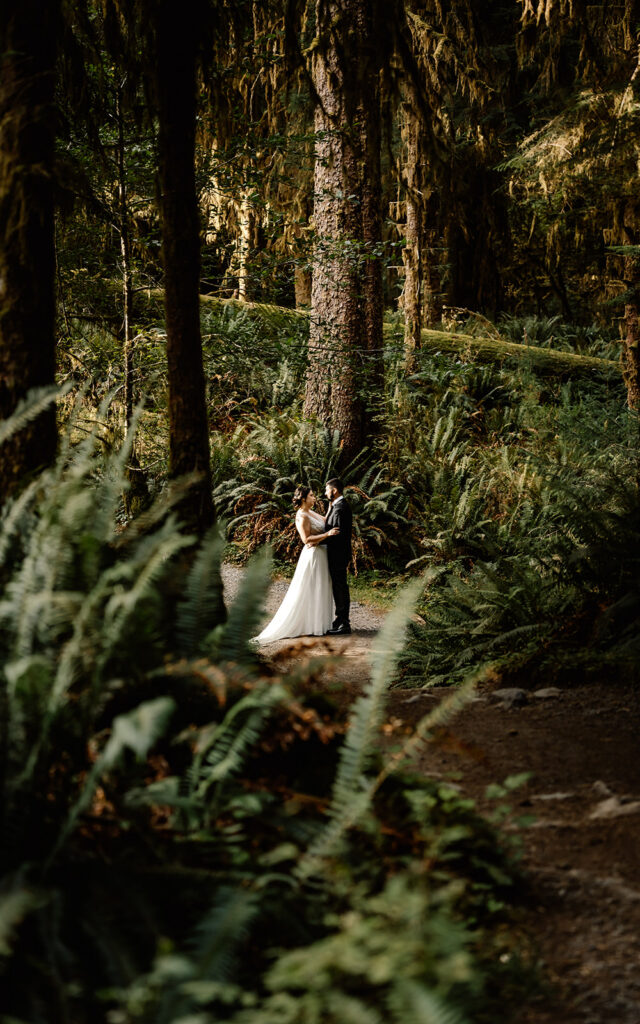 a couple, in their wedding attire embrace in a patch of light in a moody forest, surrounded by verdant ferns during their hoh rainforest elopement