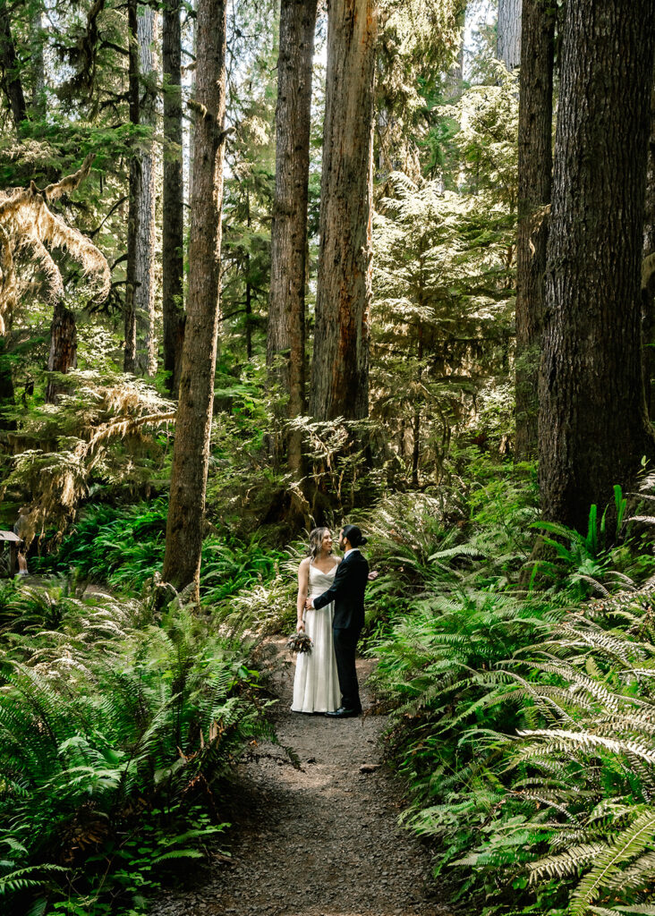 a couple, in their wedding attire embrace in a patch of light in a moody forest, surrounded by verdant ferns during their hoh rainforest elopement. 