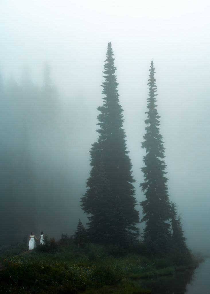 an image that looks like an oil painting from the fog and inky blue color of the skies. Two brides wander among wildflower fields and pines during their tipsoo lake elopement 