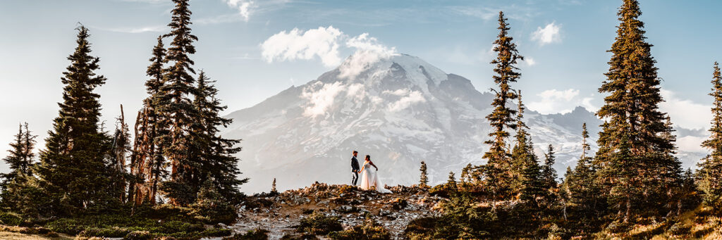 a bride and groom stand perfectly centered under the peak of rainier. they are between two clusters of pines. the bride waves her wedding dress