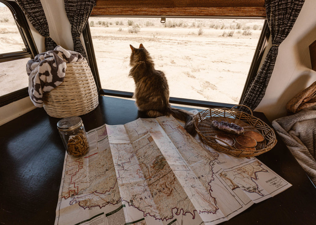 living in an rv with a cat