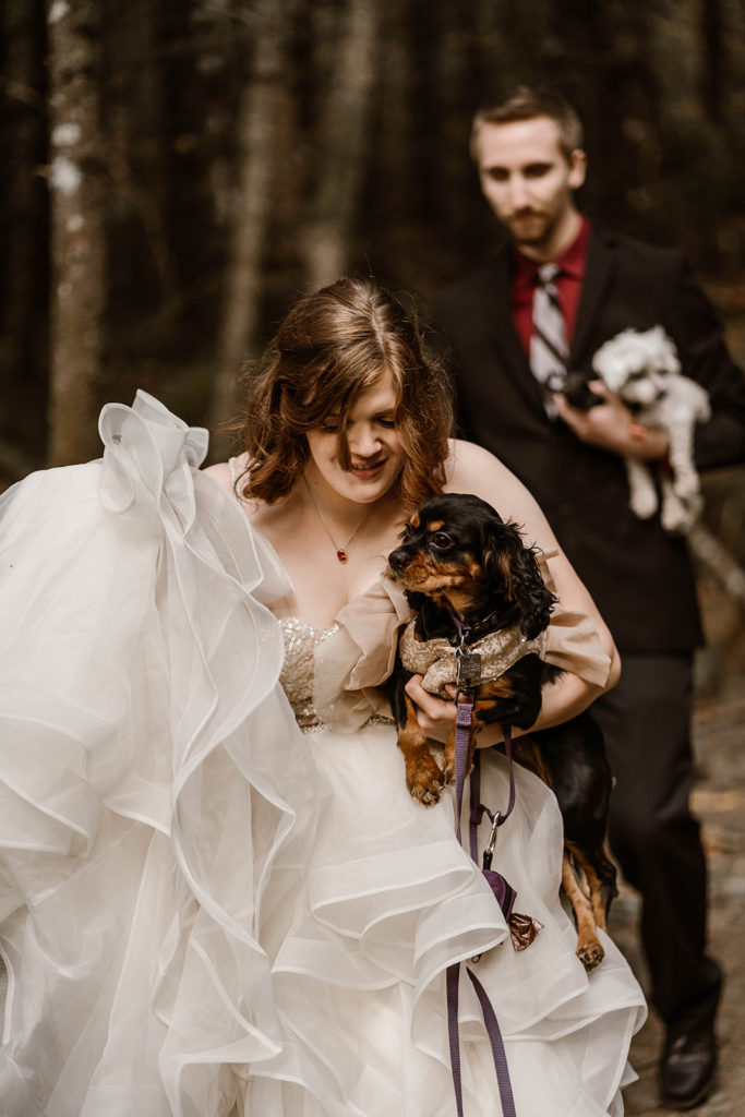 elope with dogs