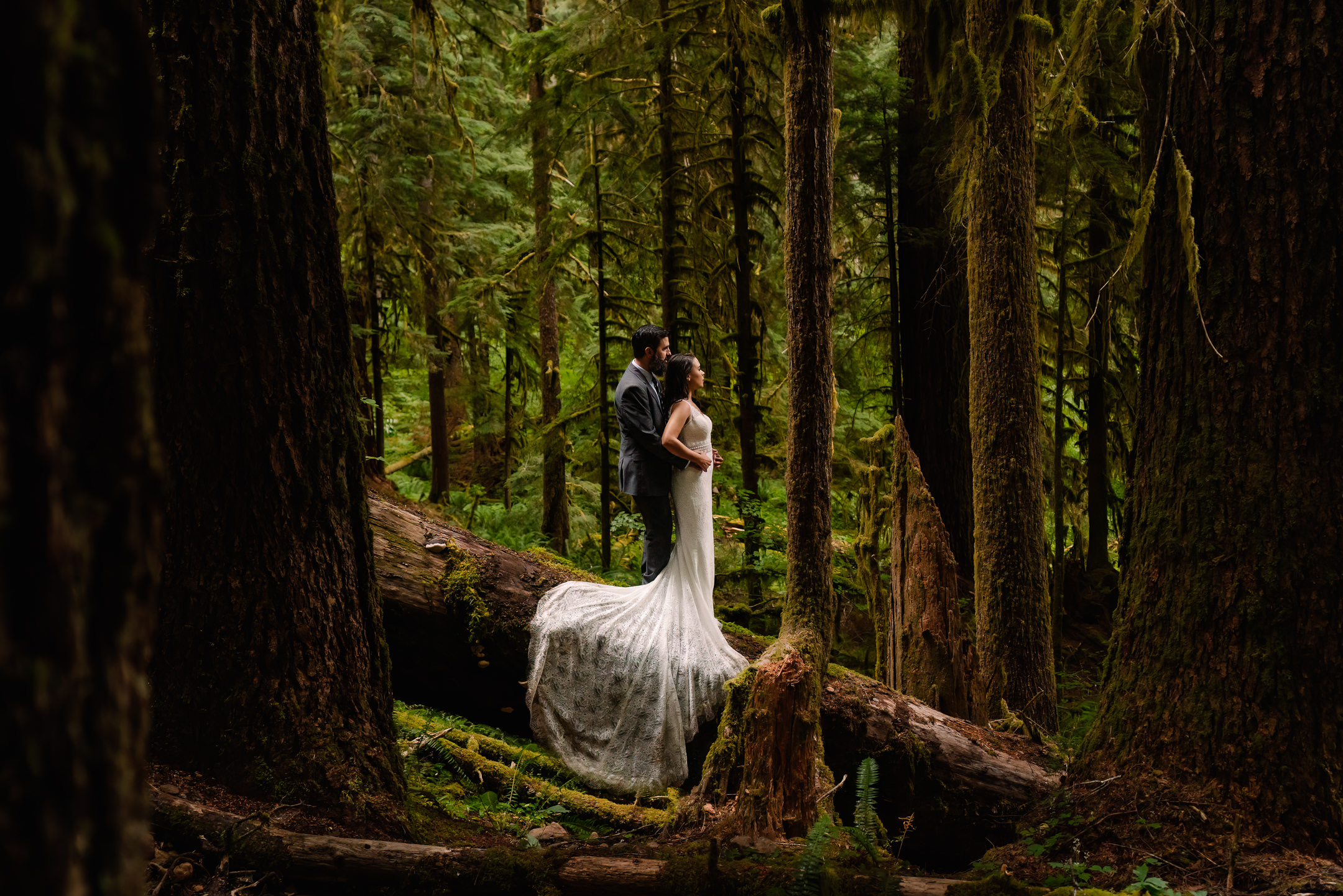 Couple in wedding attire stands on a log in a lush green forrest during their Olympic National Park elopement