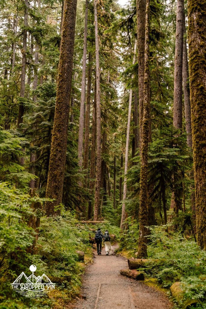 Couple in wedding attire hikes through a deep forest during their Washington elopement