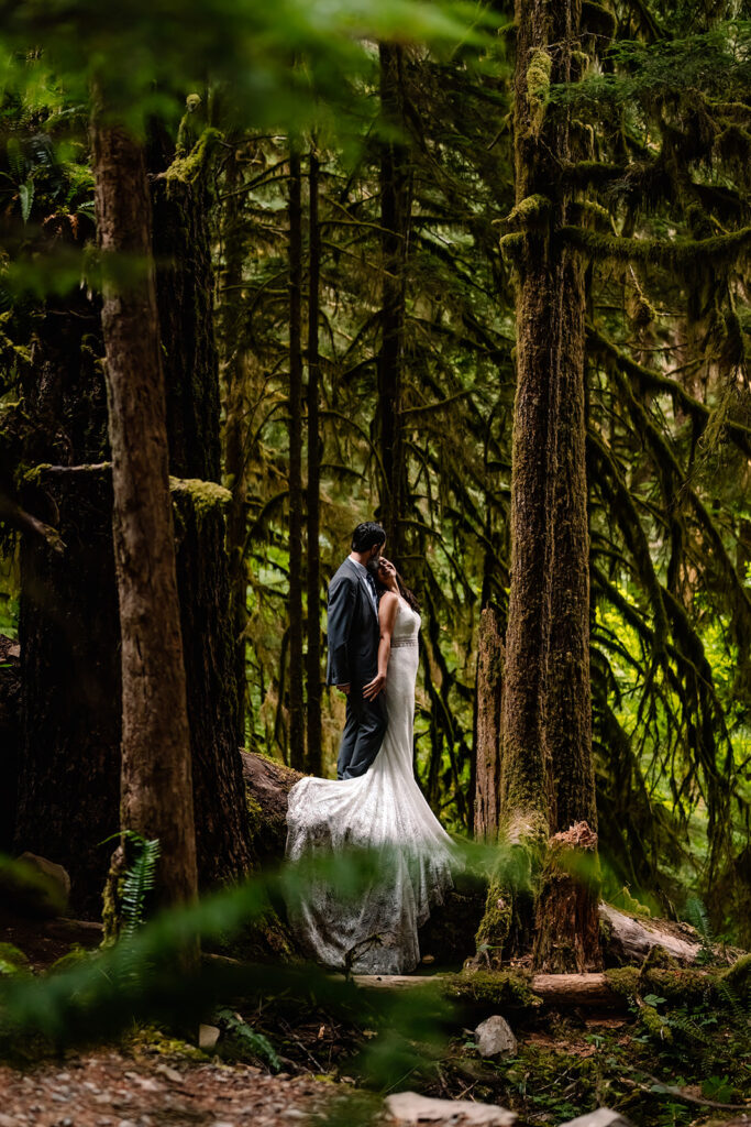 Bride and groom embrace in a lush, green forest. They stand on a fallen log and the lace train of her dress cascades down during their washington elopement