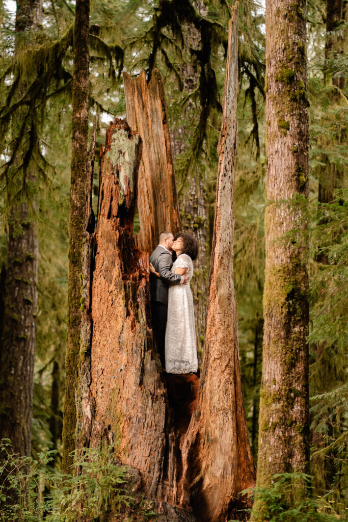 A couple in wedding attire embraces and are nestled in the body of a split tree trunk.