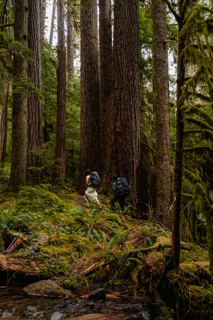 After building their elopement timeline, a couple in wedding attire backpack through a lush, green, old growth forest. 