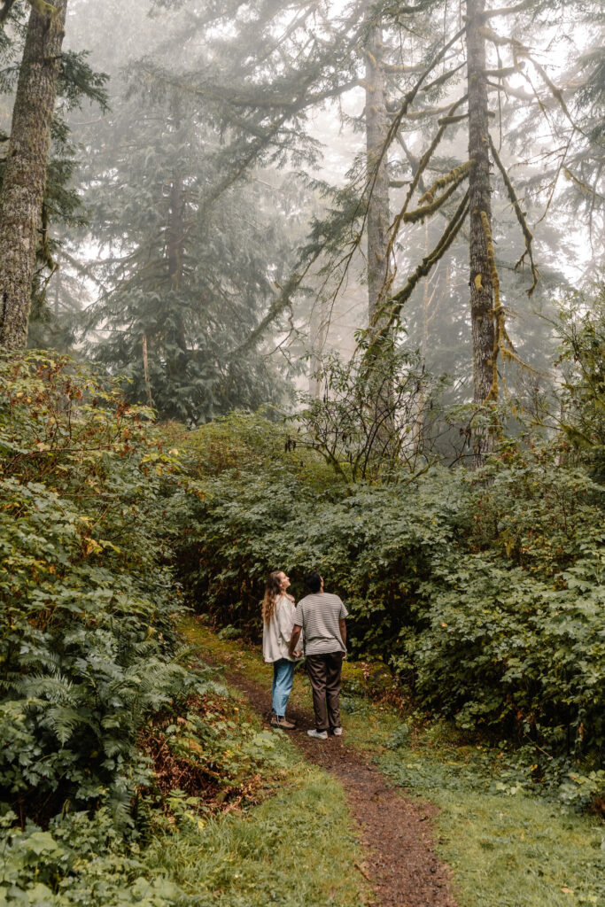 The morning of their elopement, a couple sets the tone by sharing a quiet walk through the woods. They gaze at the dense fog that clings to the tops of the lush canopy.  