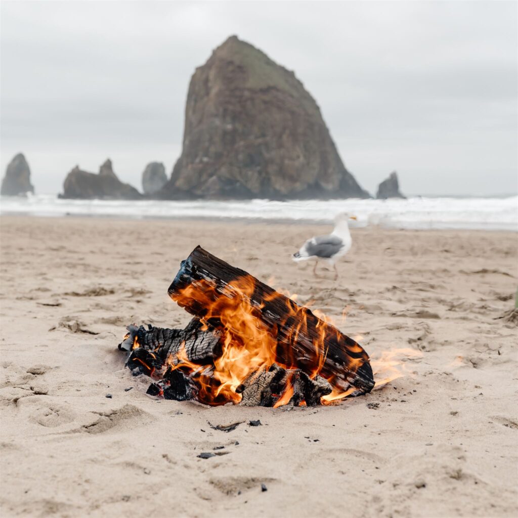 a detail shot of the celebratory bonfire for this pacific coast wedding. it blazes in front of haystack rock.