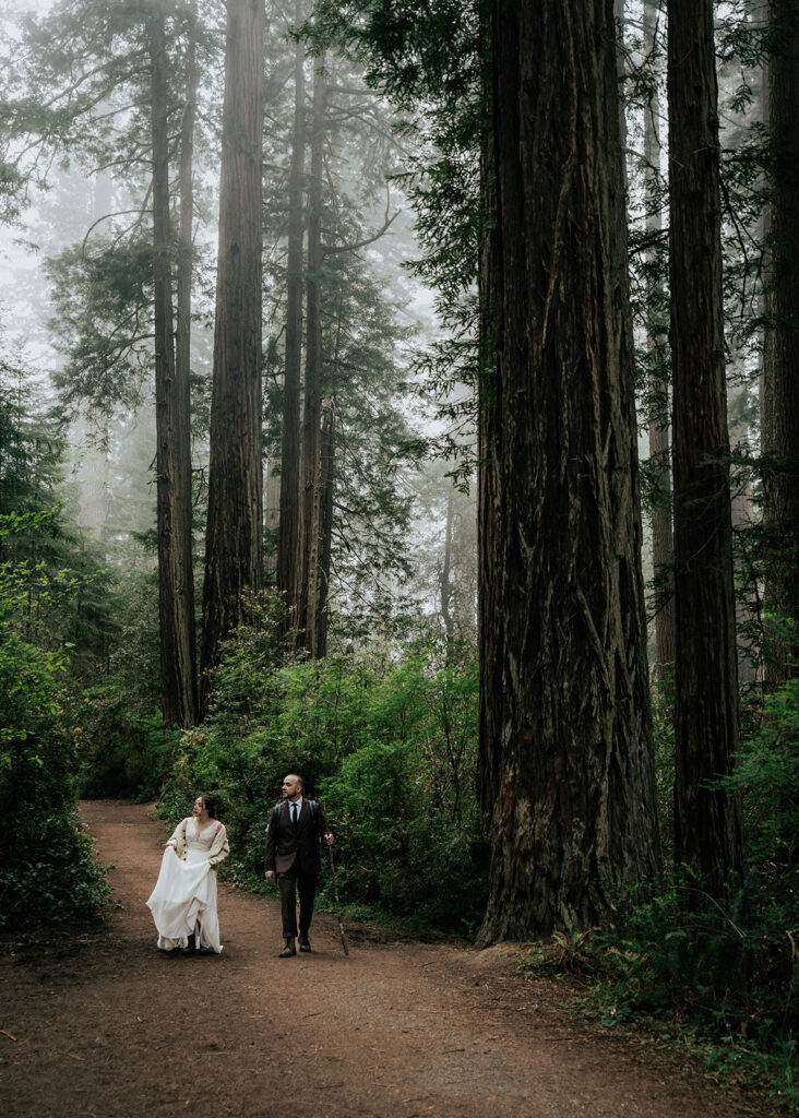 A vertical shot, showcasing the height of the redwoods and the marine layer. We see our bride and groom walking along a dirt trail. They are hiking in their wedding attire, gazing at the foliage as they head to their forest wedding location