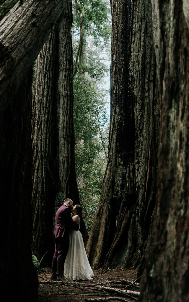 During their forest elopement, a bride and groom kiss in the middle of a grove of mature Redwoods