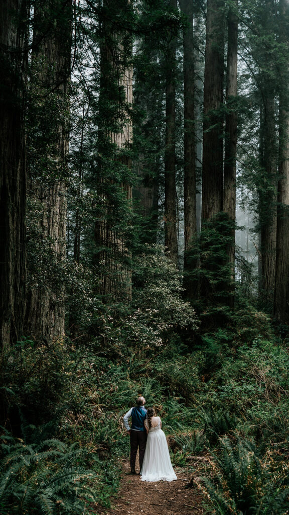 A vertical shot of our bride and groom standing still on the trail and gazing up at the Redwoods during their forest wedding 