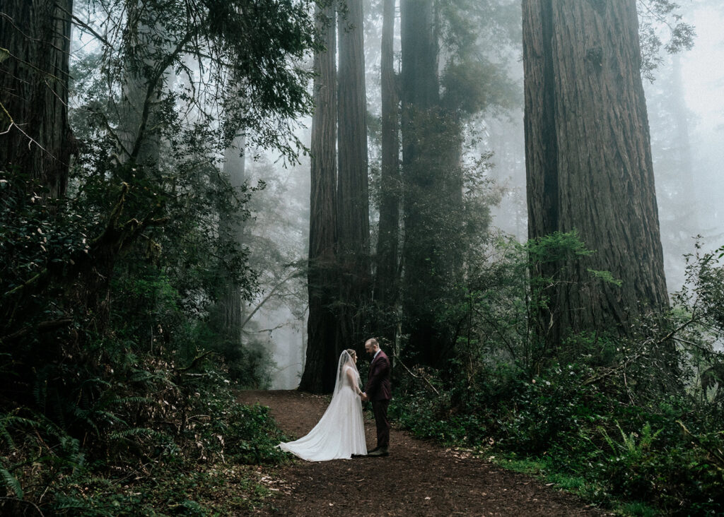 A couple in their wedding attire stand facing each other in the middle of a trail through a deep forest. Massive Redwoods tower behind them. A think marine layer surrounds the tree tops during this forest wedding